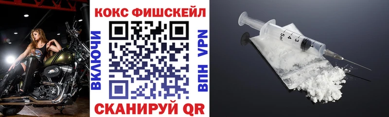 как найти наркотики  Гаджиево  COCAIN VHQ 