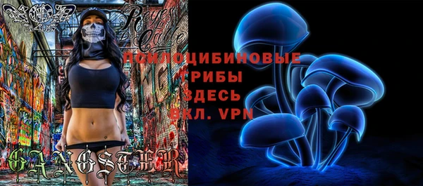 герыч Алзамай