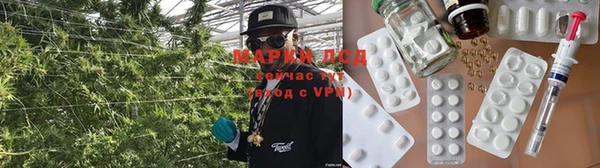 сатива Алексин