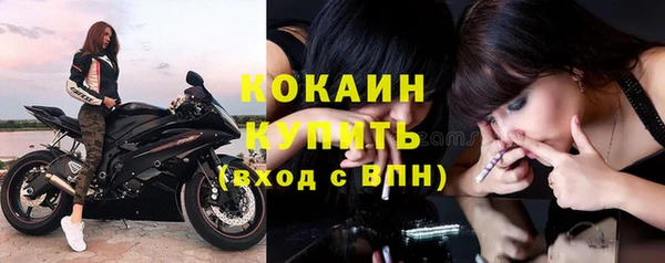 ГАЛЛЮЦИНОГЕННЫЕ ГРИБЫ Сатка